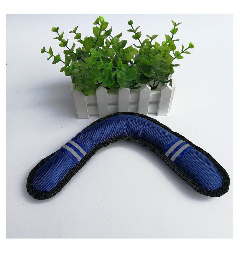 Boomerang Toy