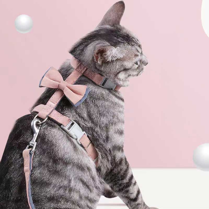 Cat Bow Leash