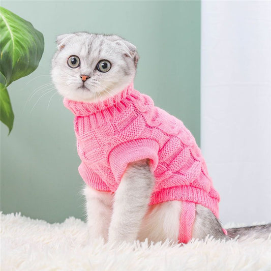 Fashionable Cat Sweater
