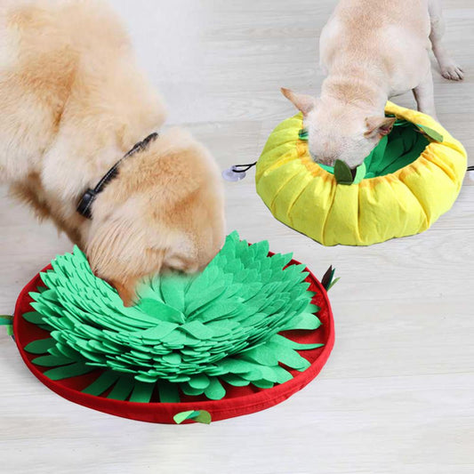 Sniffing Pad Toy