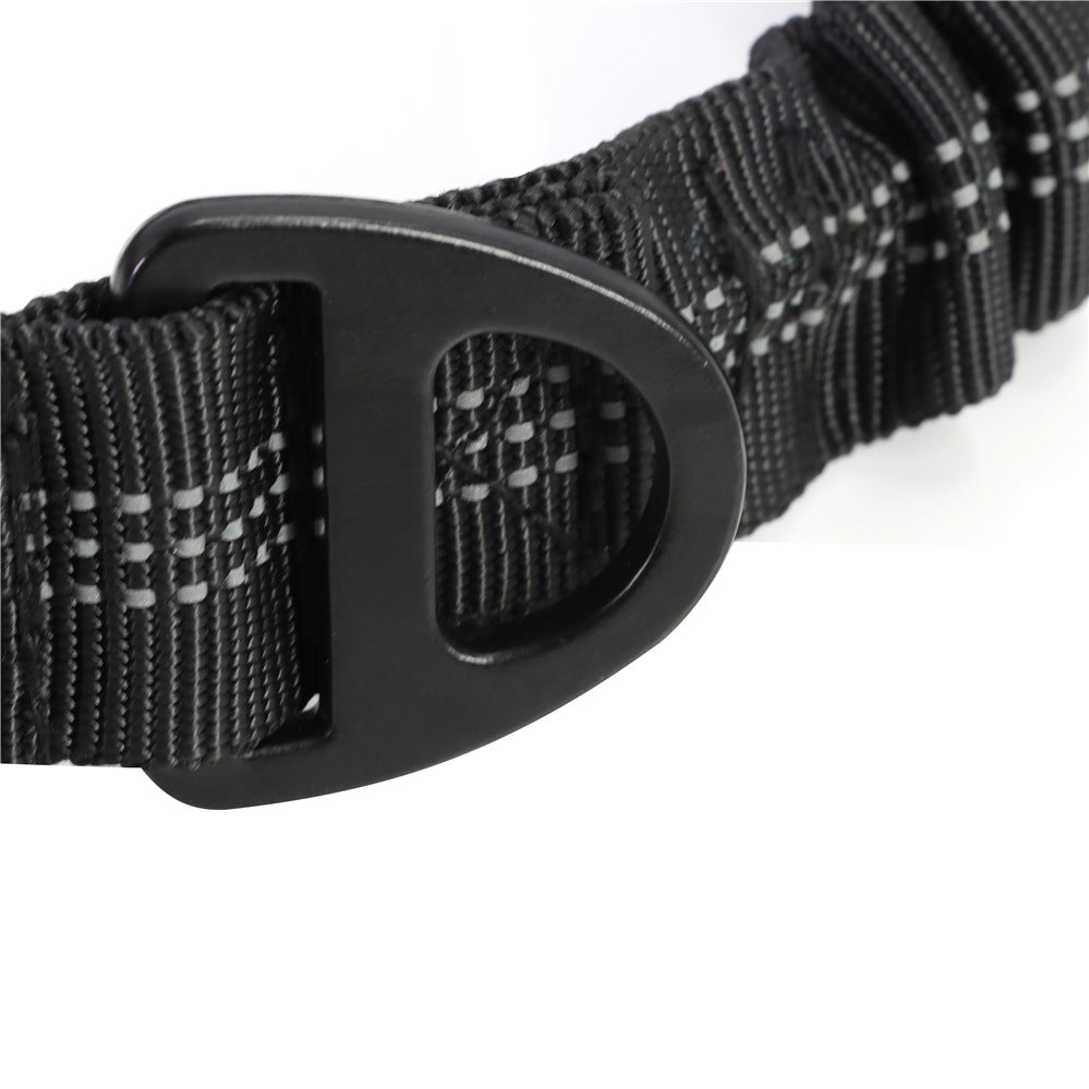 Heavy Duty Leash
