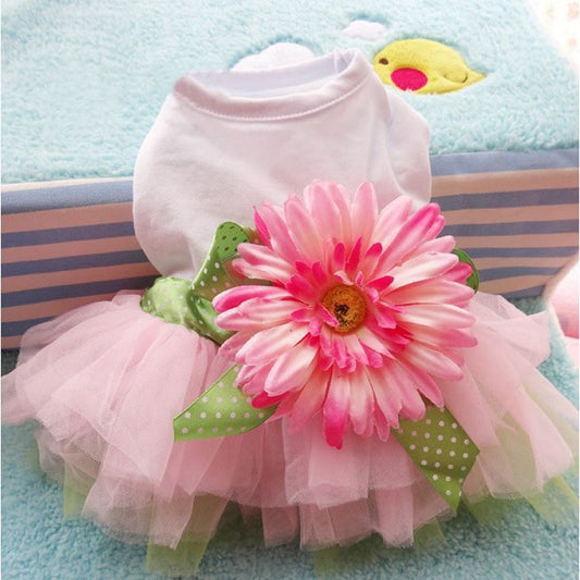 Blossoming Doggy Dress