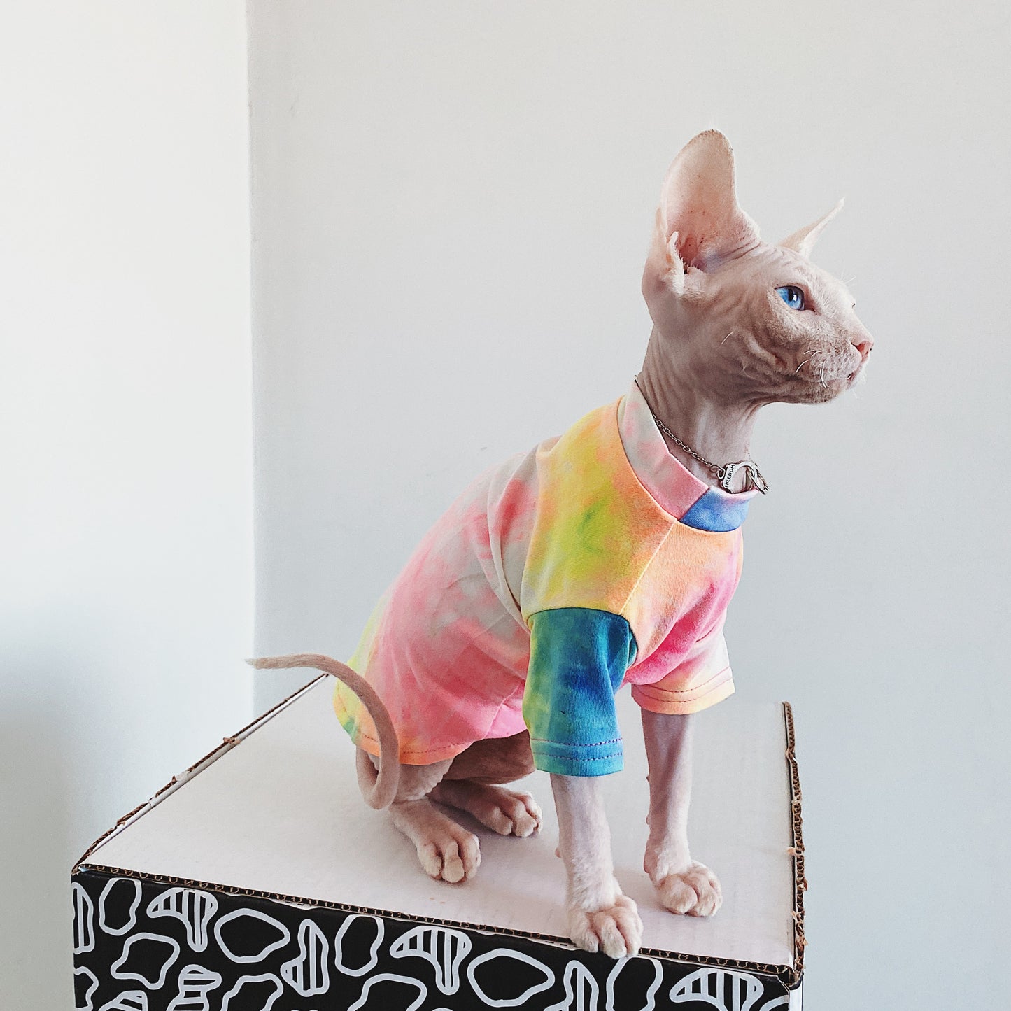 Rainbow Vest