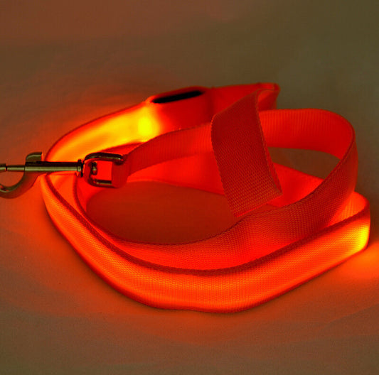 LED Dog Leash