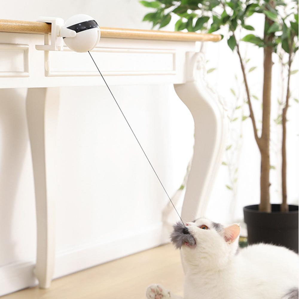 Electric Cat Toy Teaser