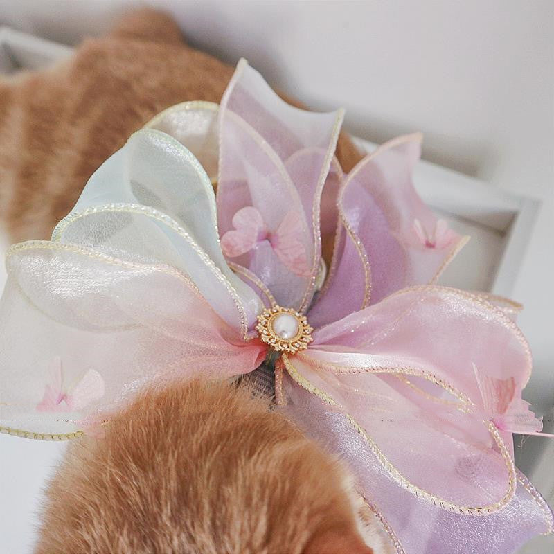 Dress Up Cat Collar