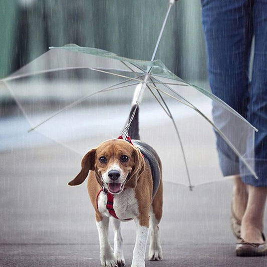 Umbrella Dog Leash