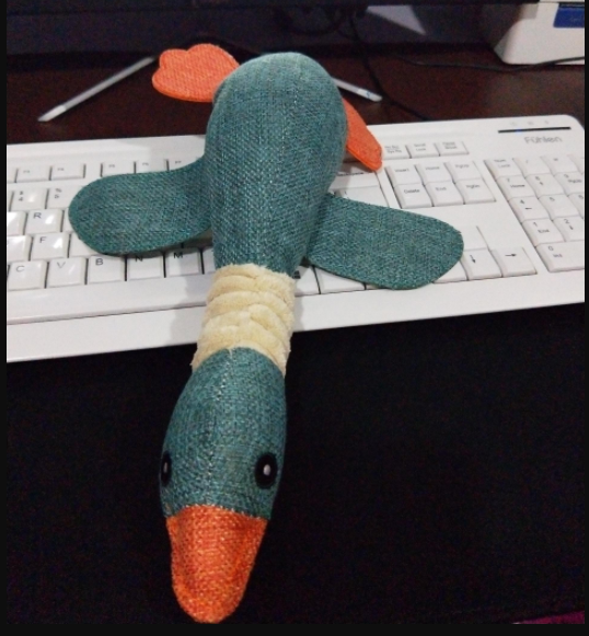 Duck Squeak Toy