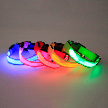 Neon Dog Collar