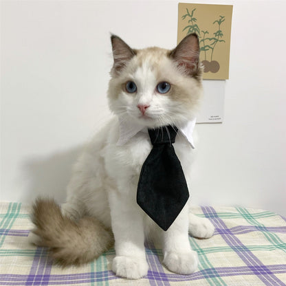 Cat Gentleman Tie