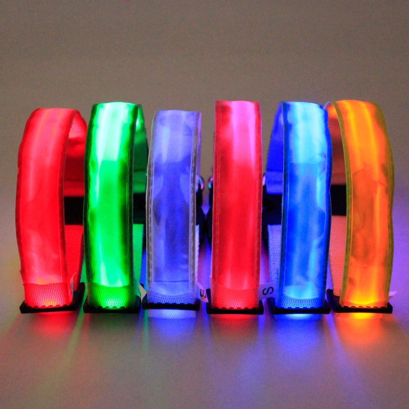 Neon Dog Collar