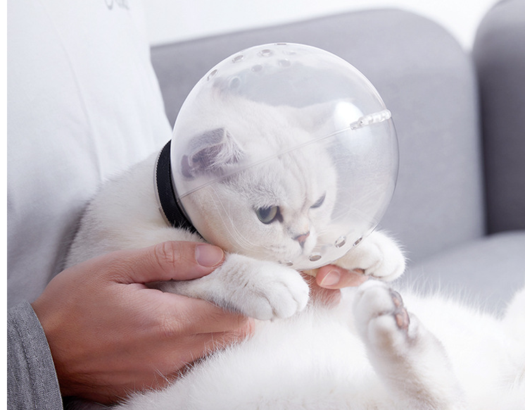 Safe And Breathable Cat Headgear