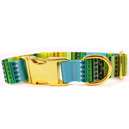 Colorful Dog Collar