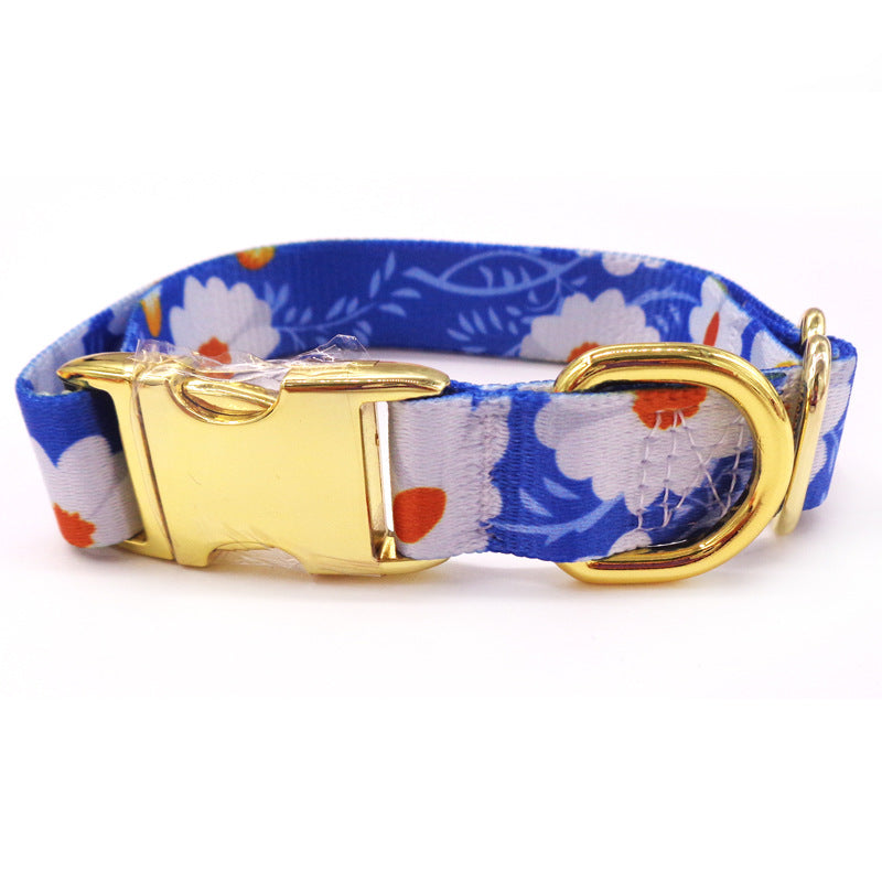 Colorful Dog Collar