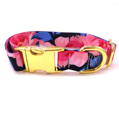 Colorful Dog Collar