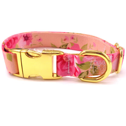 Colorful Dog Collar