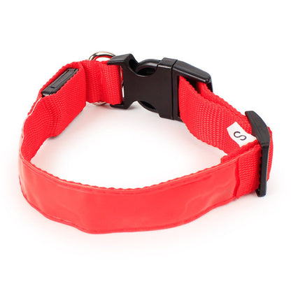 Neon Dog Collar