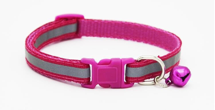 Reflective Bell Collar