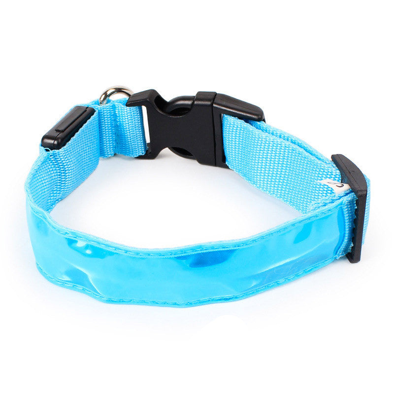 Neon Dog Collar