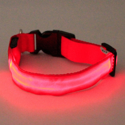 Neon Dog Collar