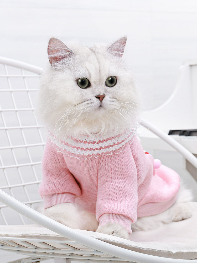 Popcorn Cat Clothes