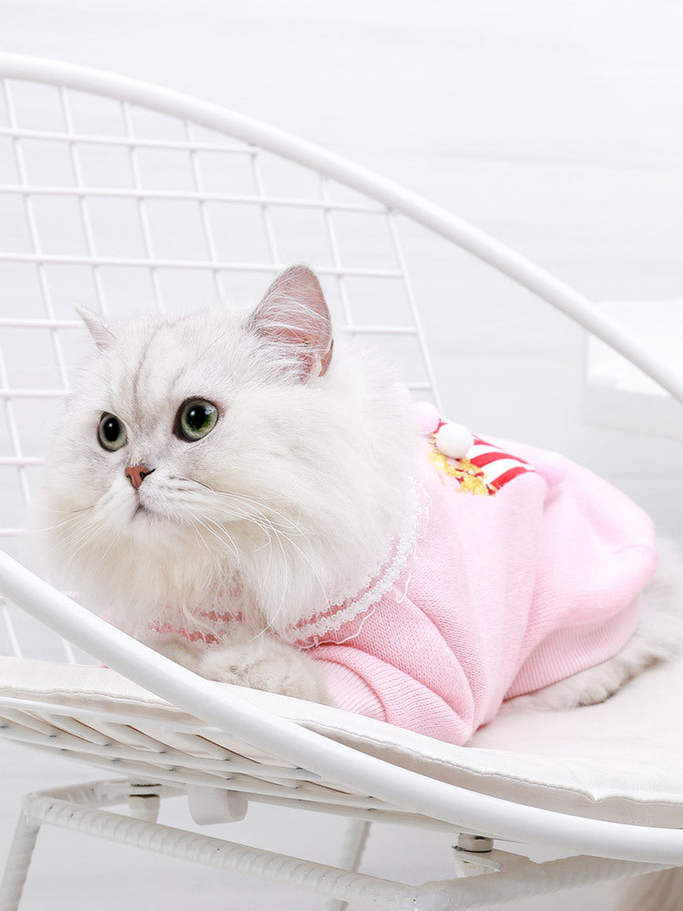 Popcorn Cat Clothes