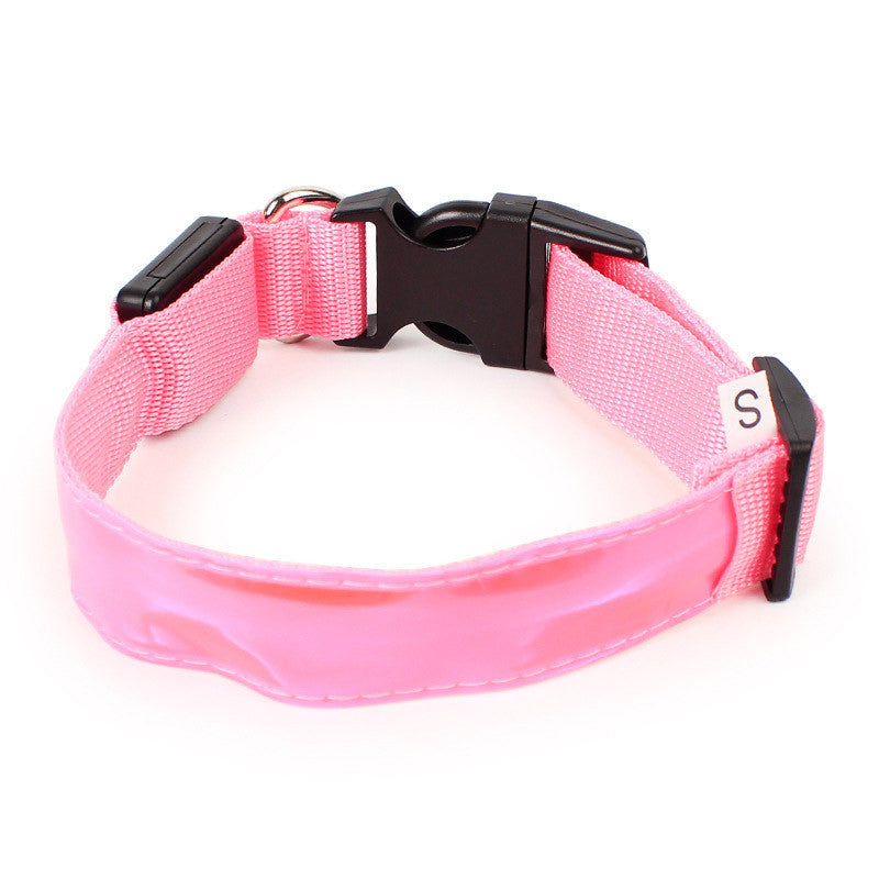 Neon Dog Collar