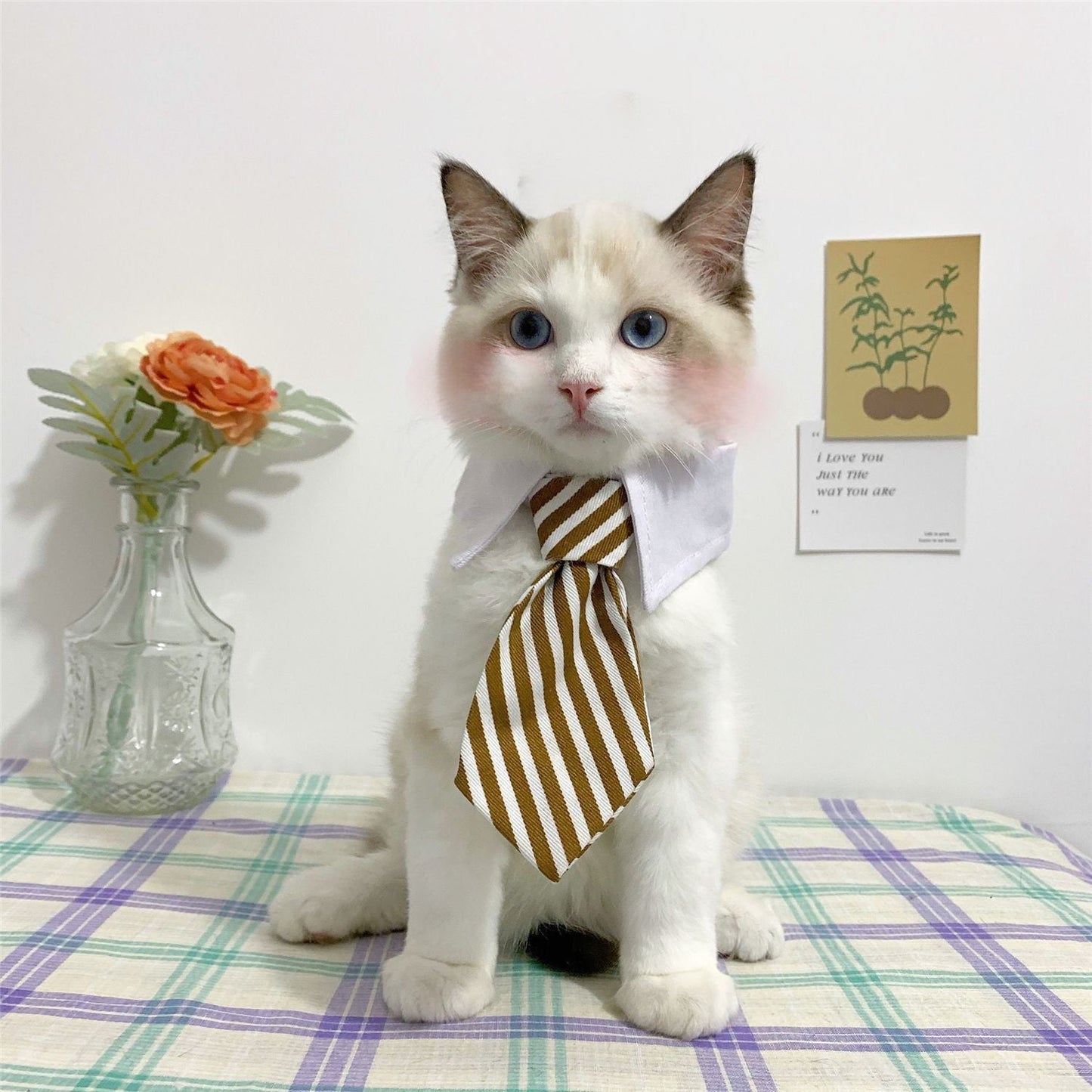 Cat Gentleman Tie