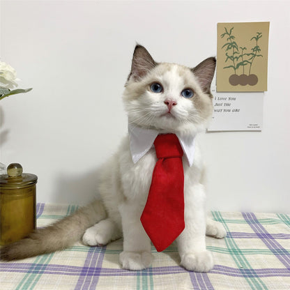 Cat Gentleman Tie