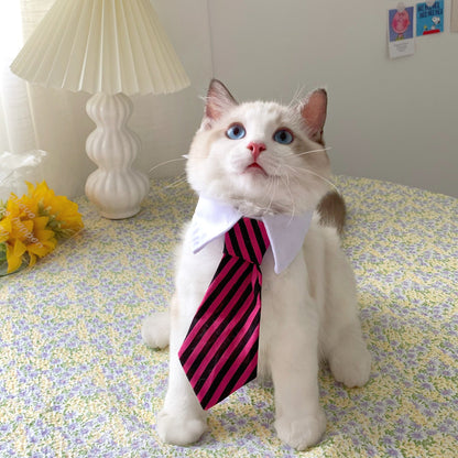 Cat Gentleman Tie